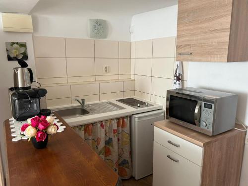 格拉茨Apartment don bosco的厨房配有带微波炉和水槽的桌子
