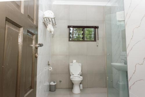 布兰太尔Cedar Place的一间带卫生间、水槽和窗户的浴室