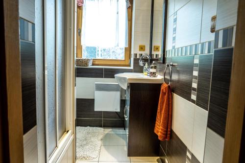 塔特兰斯卡科特利纳查普拉伦卡酒店的一间带水槽和窗户的小浴室