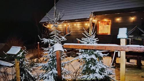KoszarawaBeskidzka Ostoja的小屋前面有雪覆盖的树木