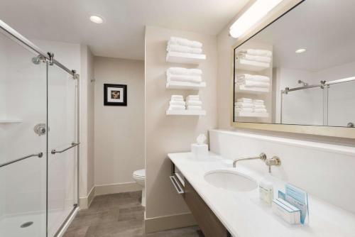 埃尔科内华达州埃尔科希尔顿汉普顿酒店的一间带水槽和淋浴的浴室