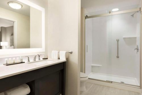 格林维尔格林维尔市中心瑞尔普雷斯希尔顿合博套房酒店的一间带水槽和淋浴的浴室