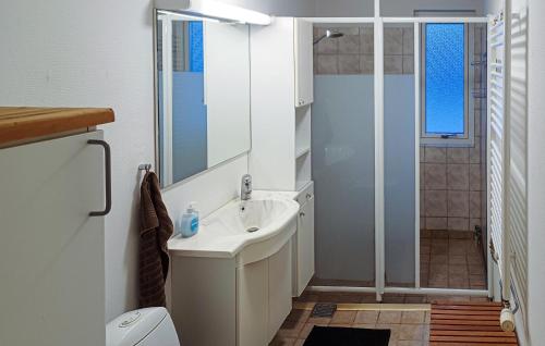 HyltebrukPet Friendly Apartment In Hyltebruk With Wifi的一间带水槽和淋浴的浴室