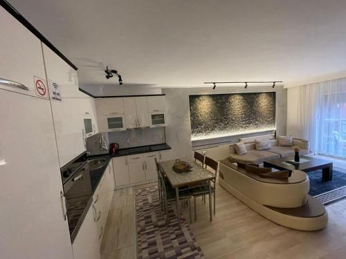 普里什蒂纳Daily Apartment Prishtina的厨房以及带沙发和桌子的客厅。