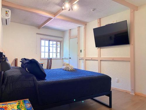 圣何塞德迈波La Petite France的一间卧室配有一张床和一台平面电视