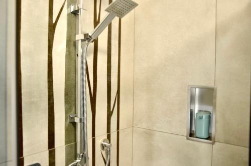 夸尔图-圣埃莱娜Stasonis的浴室内配有淋浴和头顶淋浴