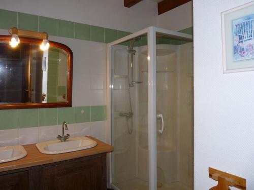 Gîte Saint-Amand-sur-Ornain, 4 pièces, 6 personnes - FR-1-585-56的带淋浴和盥洗盆的浴室