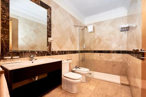 阿德耶克恩全景公寓式酒店的一间带卫生间、水槽和镜子的浴室