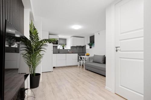 卑尔根apartment Bergen的厨房配有白色橱柜和盆栽植物