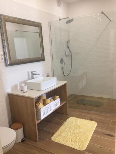 赫瓦尔Apartments Antonia的浴室配有盥洗盆和带镜子的淋浴