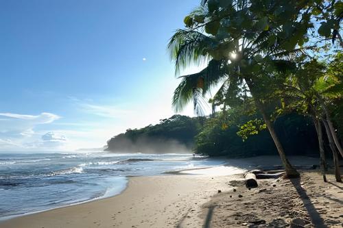 科克莱斯MINI UP! Acogedora casita para 2 personas con AC的棕榈树海滩和海洋