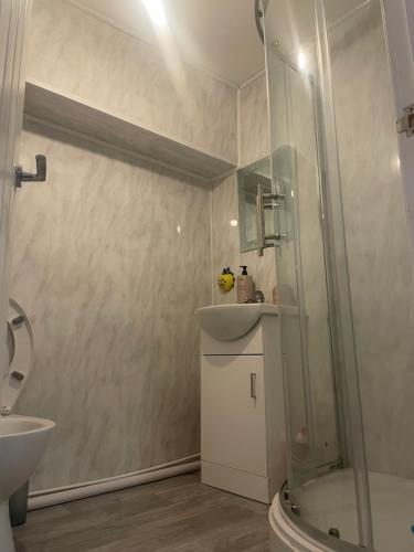 布里斯托2 Bedroom Apartment on suite bathroom, Southmead Bristol的带淋浴、盥洗盆和卫生间的浴室