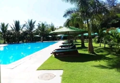 蒙巴萨Ziggon villa mtwapa的游泳池旁设有遮阳伞和躺椅