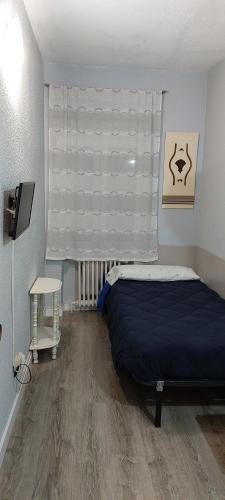 阿兰达德杜洛Hostal Rosales的一间小卧室,配有床和窗户