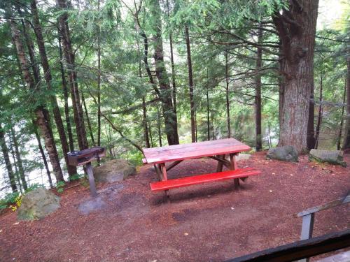 Township of Edmunds罗宾逊乡村民宿的森林中间的野餐桌