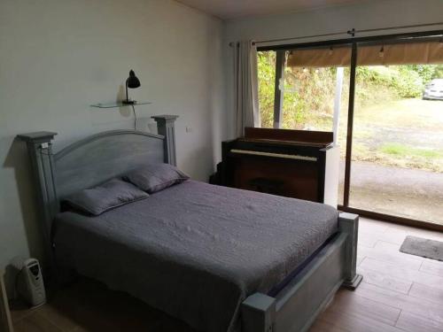 埃雷迪亚La Cabaña的一间卧室设有一张床和一个大窗户