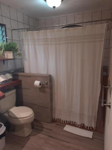 Barrio JesúsCasa Vista del Valle的浴室设有卫生间和带窗帘的淋浴。