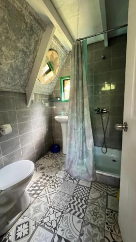 潘吉普伊Refugio de bosque altos de ñancul的浴室配有卫生间、盥洗盆和淋浴。