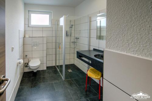 韦尼格罗德Auszeit-im-Harz Haus 6 Wohnung 3的一间带卫生间和水槽的浴室