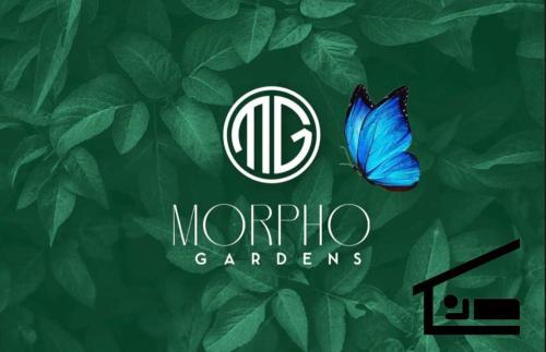 纽沃阿雷纳尔Cabinas Morpho Gardens的蓝蝴蝶坐在绿叶的背景上