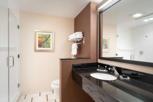 杜波依斯费尔菲尔德波依斯万豪酒店和套房的一间带水槽、镜子和卫生间的浴室