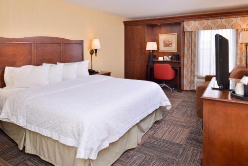 埃尔克哈特汉普顿埃尔克哈特旅馆的配有一张床和一台平面电视的酒店客房
