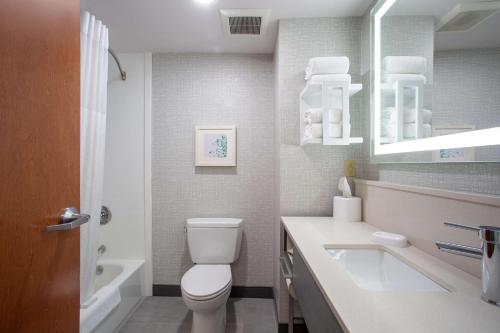 埃尔金斯埃尔金斯希尔顿恒庭酒店的白色的浴室设有卫生间和水槽。