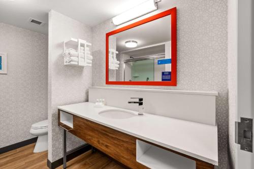 费尔班克斯费尔班克斯汉普顿酒店及套房的一间带水槽和镜子的浴室