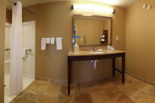 格兰福克格兰德福克斯汉普顿酒店及套房的一间带水槽、镜子和淋浴的浴室