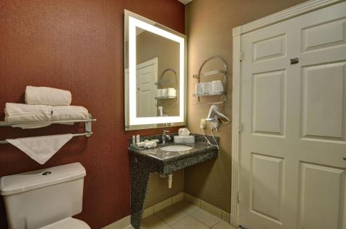 朗维尤朗维尤希尔顿惠庭套房酒店的一间带水槽、镜子和卫生间的浴室