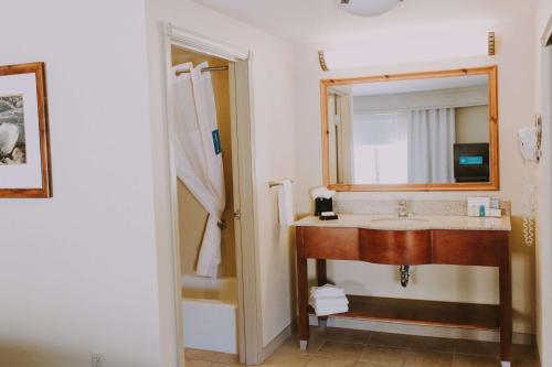 格林里弗绿河汉普顿酒店及套房的一间带水槽和镜子的浴室