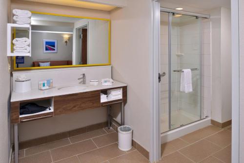 亨德森亨德森汉普顿酒店的一间带水槽和淋浴的浴室