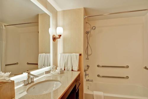 休斯顿休斯顿宁静商业街惠庭套房酒店的一间带水槽和淋浴的浴室
