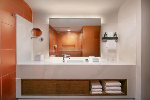 新奥尔良新奥尔良W酒店 — 法国区的一间带水槽和镜子的浴室