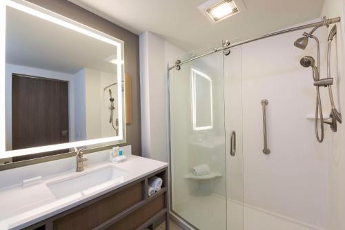 大急流城大急流城东希尔顿花园酒店 的带淋浴、盥洗盆和镜子的浴室