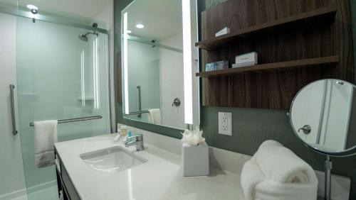 斯帕坦堡Hilton Garden Inn Spartanburg的一间带水槽和镜子的浴室