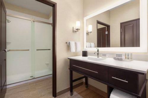 哈灵根Homewood Suites By Hilton Harlingen的浴室配有盥洗盆和带镜子的淋浴
