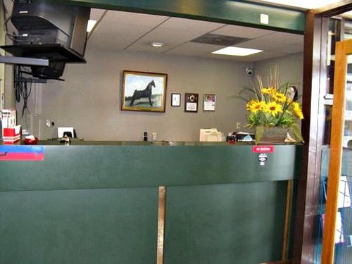 Lewisburg行走马小屋旅馆的办公室里有一个绿色的柜台,上面有鲜花