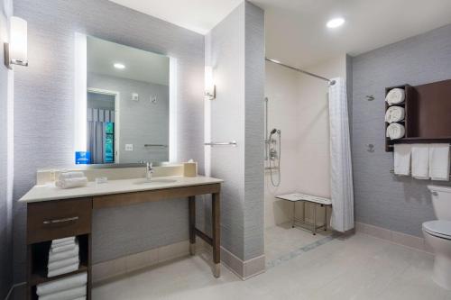 雷斯顿Homewood Suites By Hilton Reston, VA的一间带水槽、卫生间和镜子的浴室
