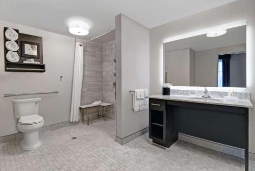 爱迪生Homewood Suites By Hilton Edison Woodbridge, NJ的一间带卫生间、水槽和镜子的浴室