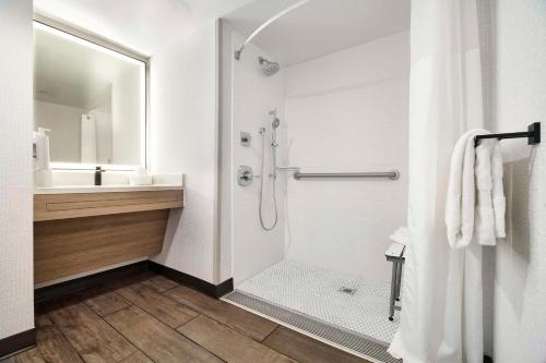 纽瓦克Hampton Inn Newark Airport的带淋浴和盥洗盆的白色浴室