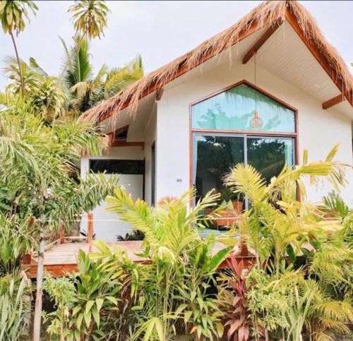 沙拉海滩Tropical Crystal Villa的茅草屋顶和植物的房子