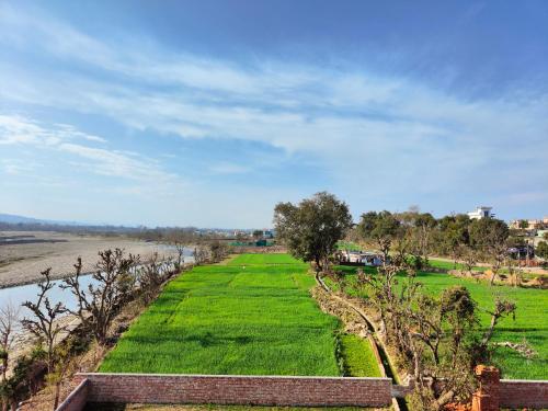 瑞诗凯诗Rishikesh Shiv Dham Homestay的河边一片绿草