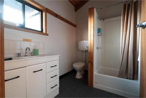 Upper BlessingtonBen Lomond Creek Cabins的一间带水槽、卫生间和淋浴的浴室