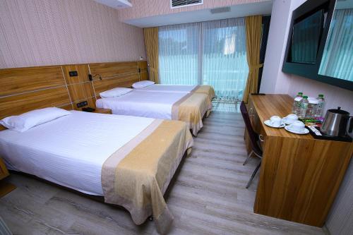 安卡拉VOLLEY HOTEL ANKARA的酒店客房配有两张床和一张书桌