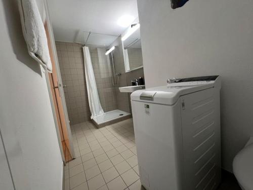 沙夫豪森The R Apartment Randen的一间带卫生间和水槽的小浴室