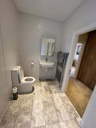 伊文格瑞Tomdoun Estate的一间带卫生间和水槽的浴室