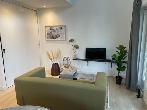 WaalreWaltrilo的客厅配有绿色沙发和电视