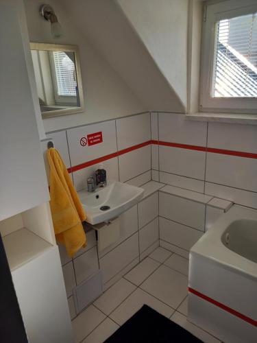 俄斯特拉发ApartmanSport的白色的浴室设有水槽和镜子