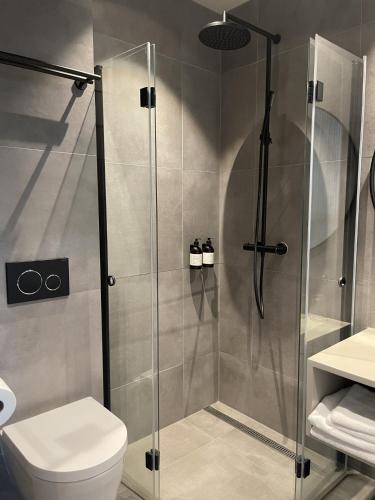 洛姆BrimiBue Hotel的设有带卫生间的浴室内的淋浴间